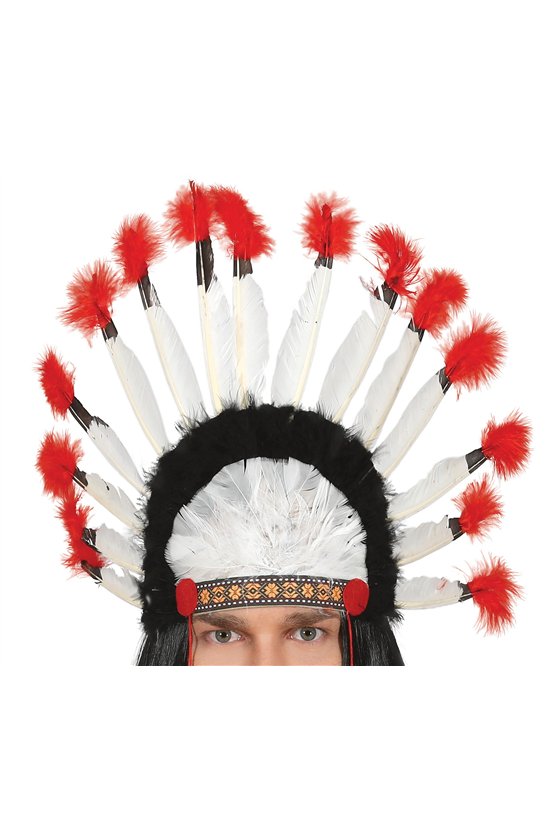 INDIAN FEATHERS PLUME